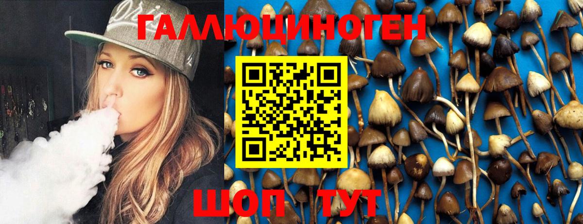 Галлюциногенные грибы MAGIC MUSHROOMS Корсаков